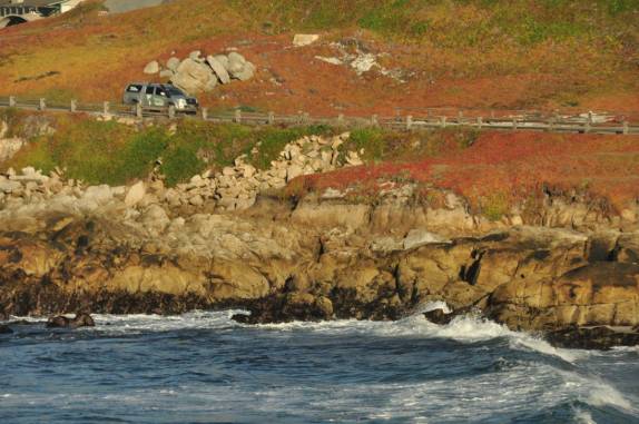 Dirigindo pela 17 Mile Drive, em Monterey, no litoral da Califórnia, nos Estados Unidos